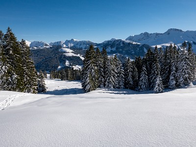 DCLDLUX8-20251128-1002142