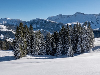 DCLDLUX8-20251128-1002143