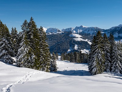 DCLDLUX8-20251128-1002144