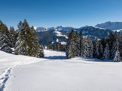 DCLDLUX8-20251128-1002145