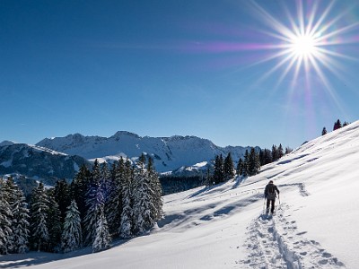 DCLDLUX8-20251128-1002146