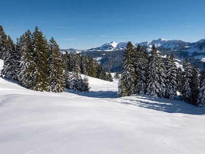 DCLDLUX8-20251128-1002148