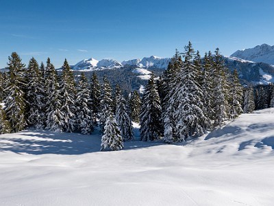 DCLDLUX8-20251128-1002150