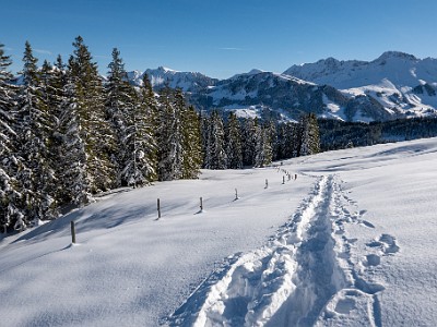 DCLDLUX8-20251128-1002151