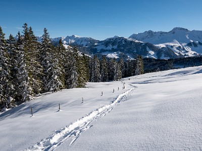 DCLDLUX8-20251128-1002152