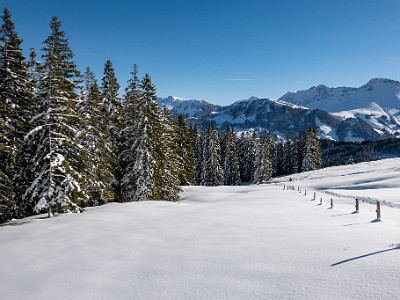 DCLDLUX8-20251128-1002153