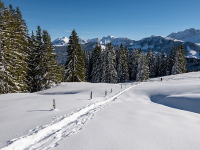 DCLDLUX8-20251128-1002154