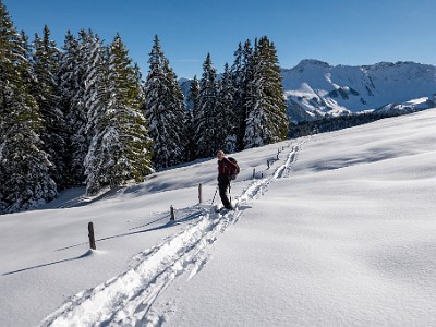 DCLDLUX8-20251128-1002155