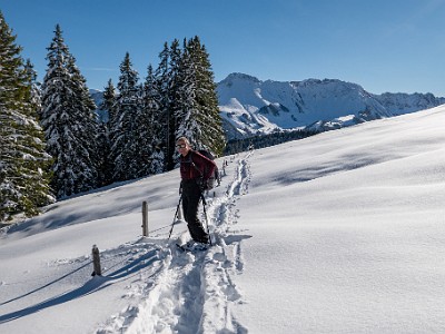 DCLDLUX8-20251128-1002156