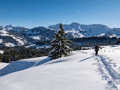 DCLDLUX8-20251128-1002160