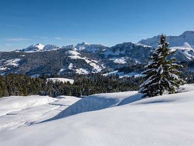 Schwyberg (2025-11-28)