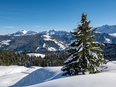 DCLDLUX8-20251128-1002162