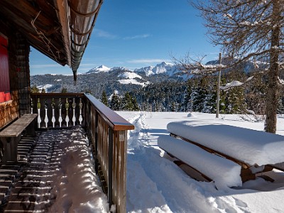 DCLDLUX8-20251128-1002165