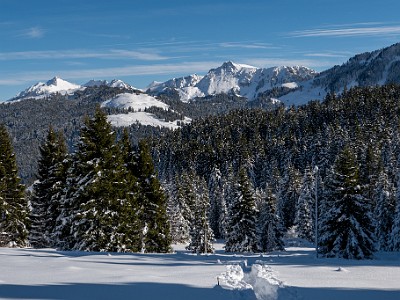 DCLDLUX8-20251128-1002167