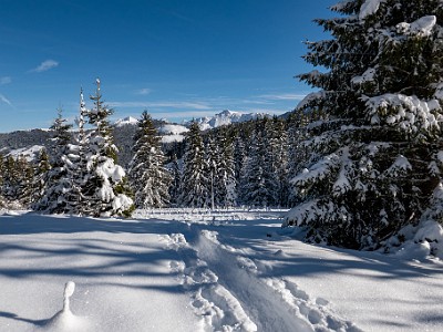 DCLDLUX8-20251128-1002169