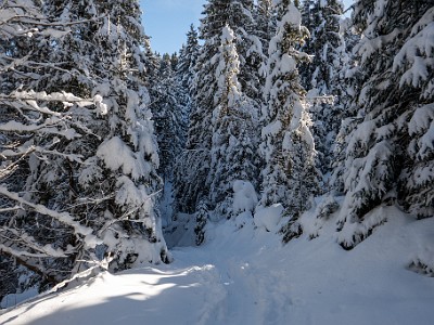 DCLDLUX8-20251128-1002170