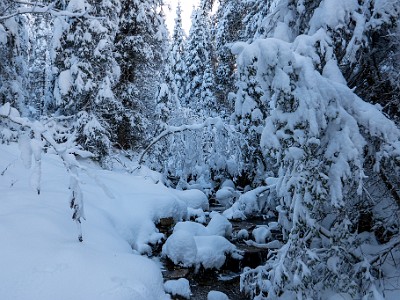 DCLDLUX8-20251128-1002172