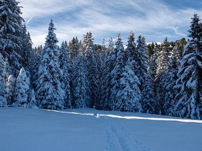 DCLDLUX8-20251128-1002175