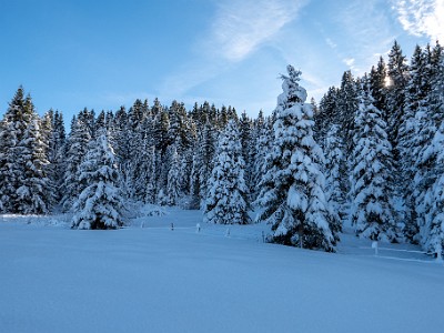 DCLDLUX8-20251128-1002176