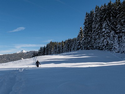 DCLDLUX8-20251128-1002178