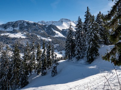 DCLDLUX8-20251128-1002179