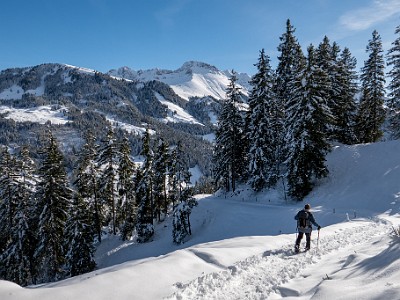 DCLDLUX8-20251128-1002180