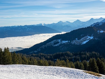 DCCG1X-20251212-2187