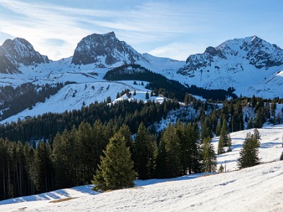 DCCG1X-20251212-2188