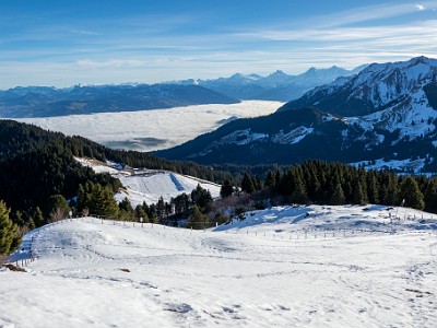 DCCG1X-20251212-2193