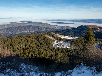 DCCG1X-20251212-2197