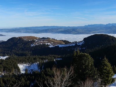 DCCG1X-20251212-2198