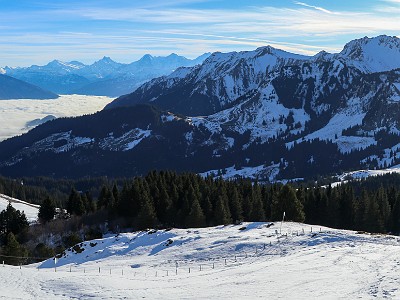 DCCG1X-20251212-2199