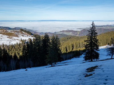 DCCG1X-20251212-2200