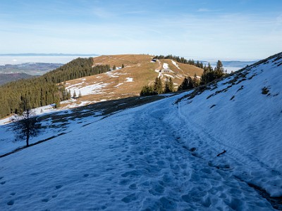 DCCG1X-20251212-2201