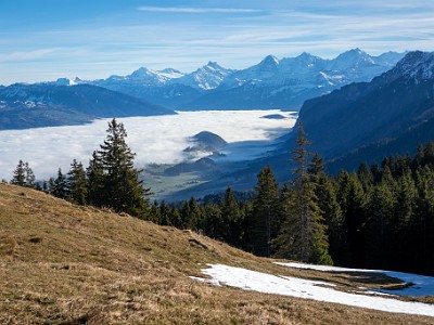 DCCG1X-20251212-2202