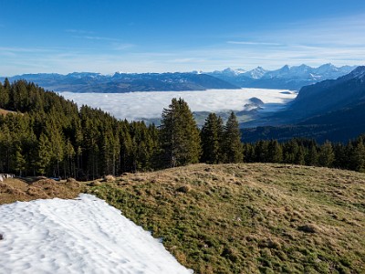 DCCG1X-20251212-2203