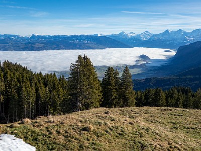 DCCG1X-20251212-2204