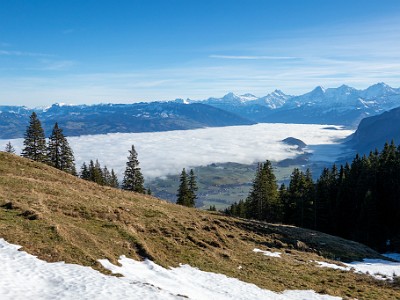 DCCG1X-20251212-2206