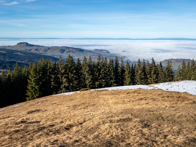 DCCG1X-20251212-2209