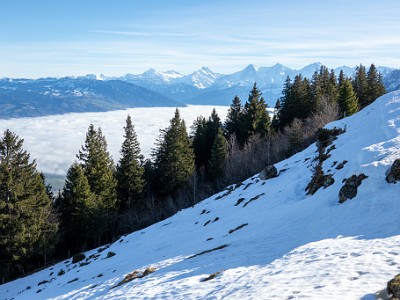 DCCG1X-20251212-2211