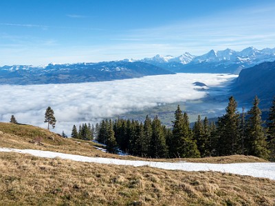 DCCG1X-20251212-2217