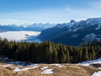 DCCG1X-20251212-2218