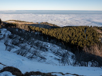 DCLDLUX8-20251230-1002374