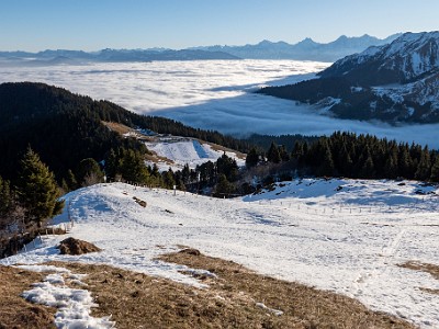 DCLDLUX8-20251230-1002376