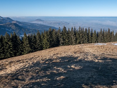 DCLDLUX8-20251230-1002378