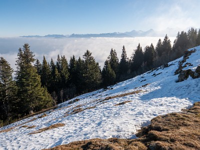 DCLDLUX8-20251230-1002380