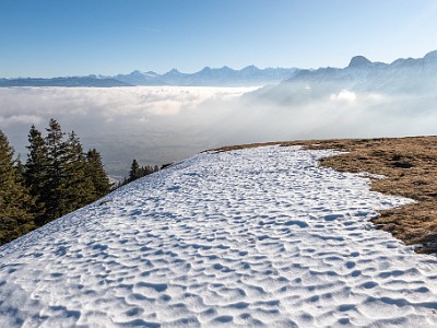 DCLDLUX8-20251230-1002383