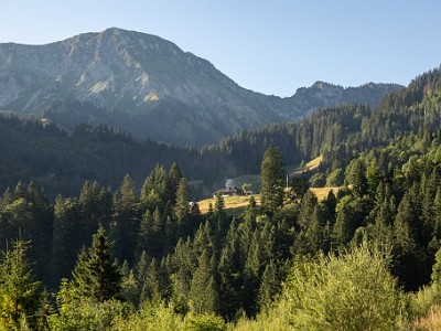 DCCG1X-20250711-1184