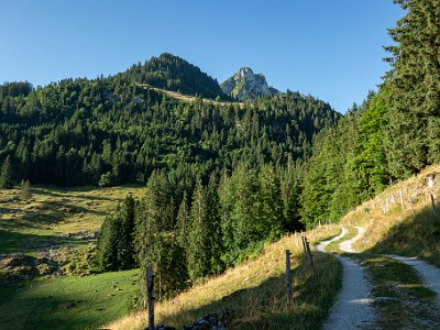 DCCG1X-20250711-1189