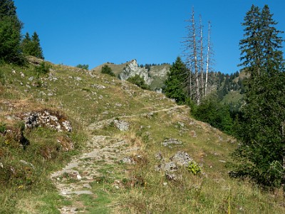 DCCG1X-20250711-1192